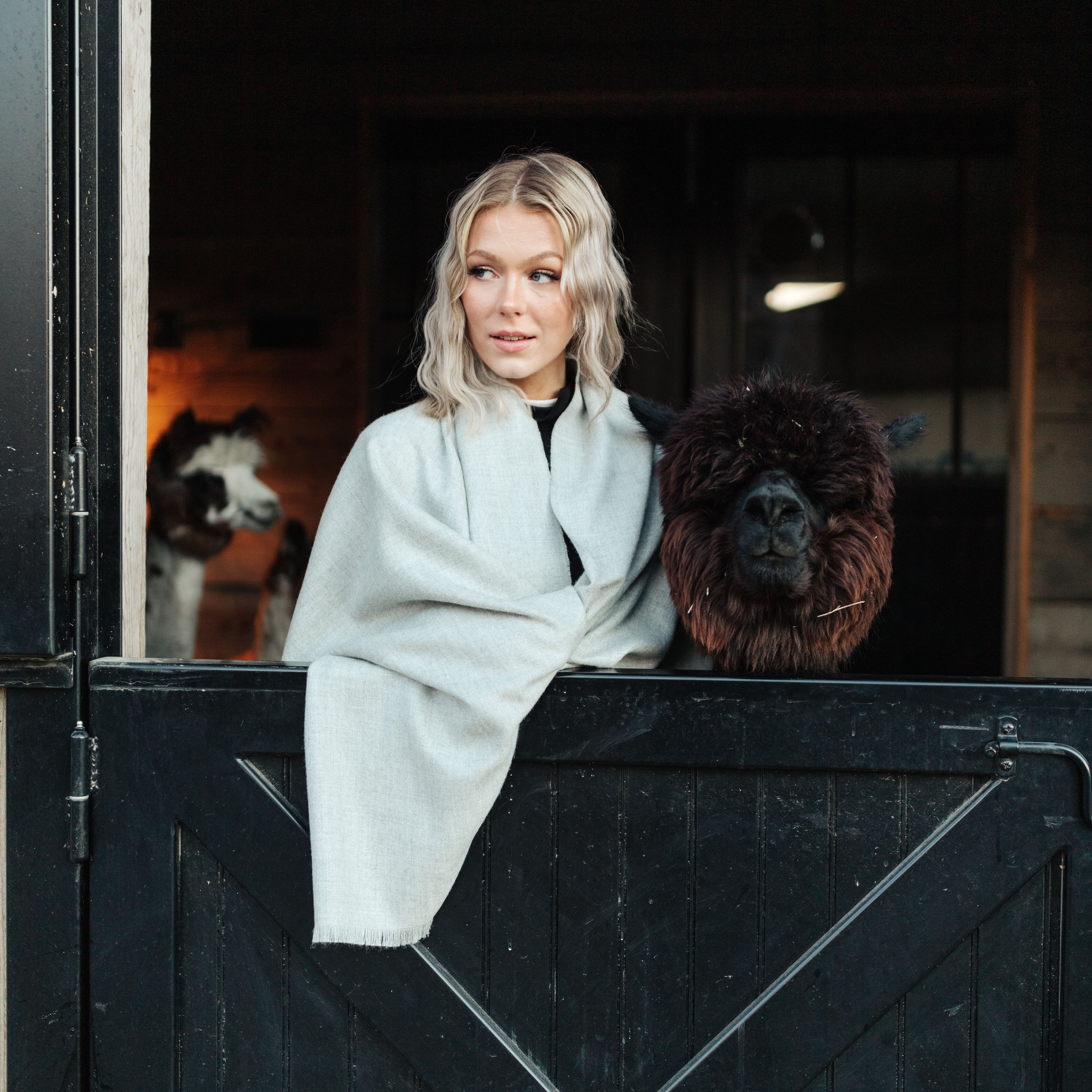 Alpaca Oversized Scarf – Cocún